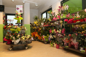 flora folies, franchising fiori