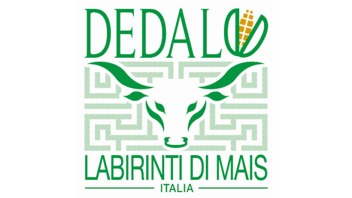 dedalo logo